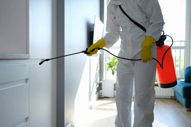 Professional Mold Remediation in Marion, WI