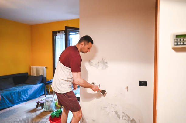 Best Commercial Mold Remediation in Marion, WI