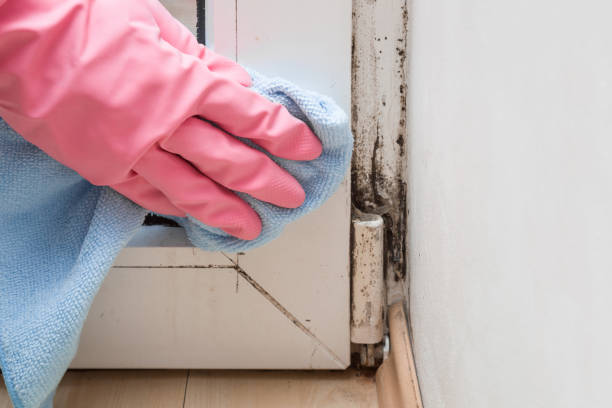 Marion, WI Mold Remediation Company
